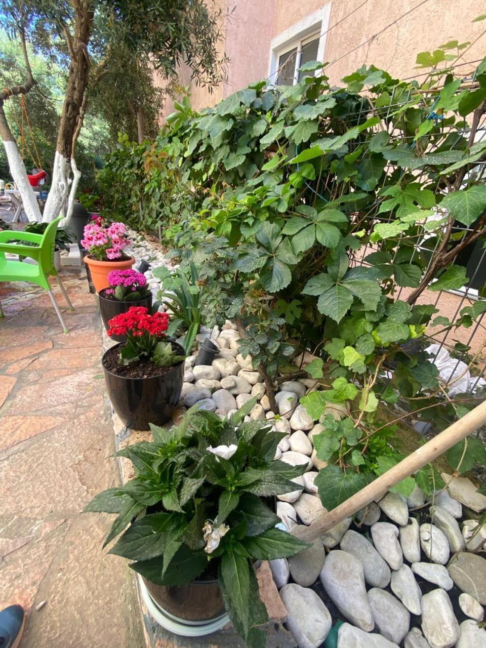 Olive Tree Apartment ساراندا المظهر الخارجي الصورة